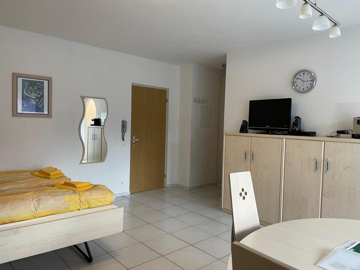 Muralto-Locarno: Miramonti Apt. 4 Экстерьер фото